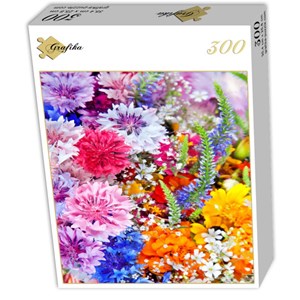 Grafika (01640) - "Explosion de Fleurs" - 300 pièces